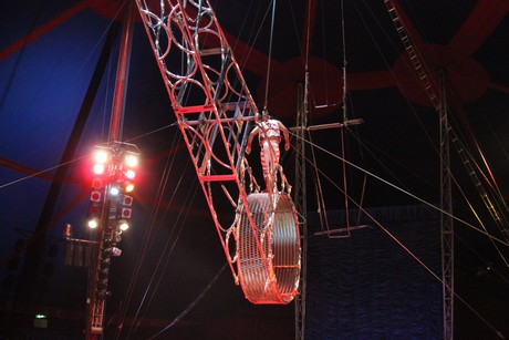 circus-krone