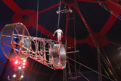 circus-krone