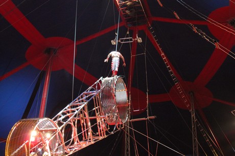 circus-krone