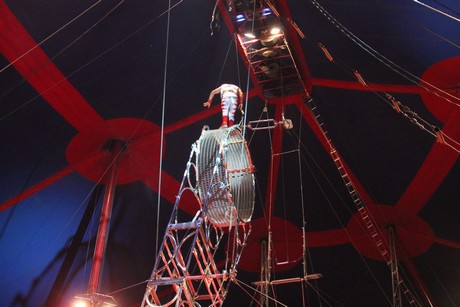 circus-krone