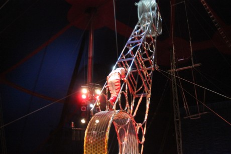 circus-krone