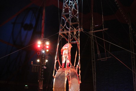 circus-krone