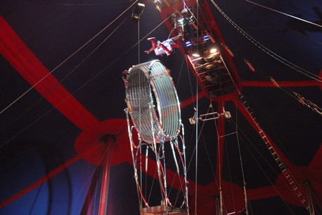 circus-krone