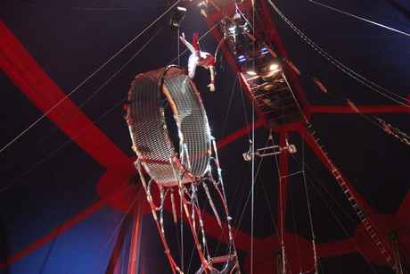 circus-krone