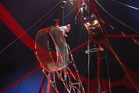 circus-krone