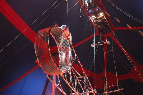 circus-krone