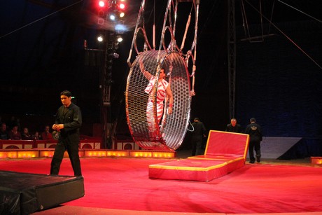circus-krone