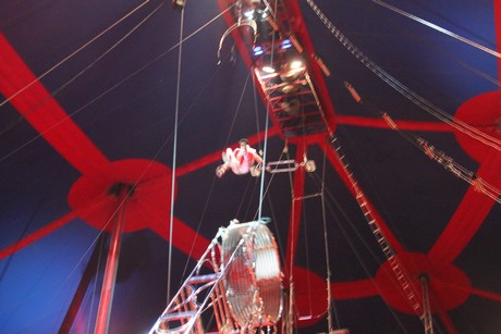 circus-krone