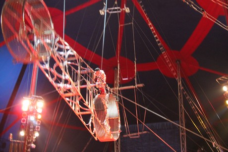 circus-krone