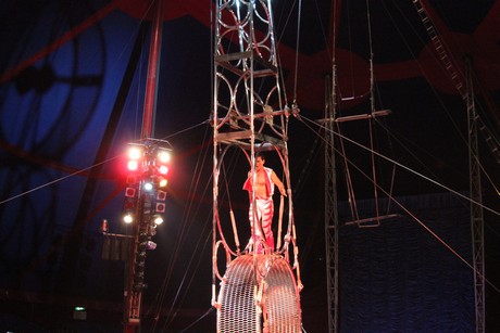 circus-krone