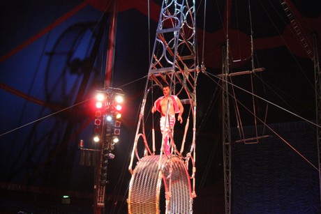 circus-krone
