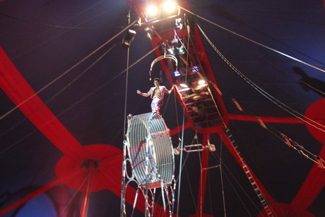 circus-krone