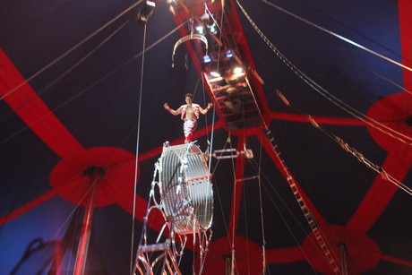 circus-krone