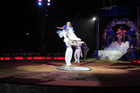 circus-krone