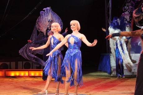 circus-krone