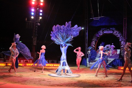 circus-krone
