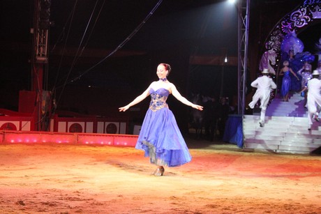 circus-krone