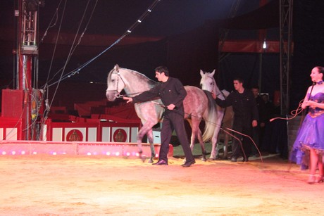circus-krone