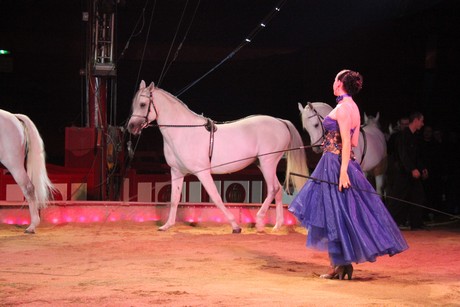 circus-krone