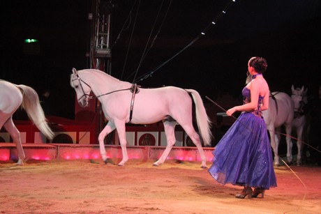 circus-krone
