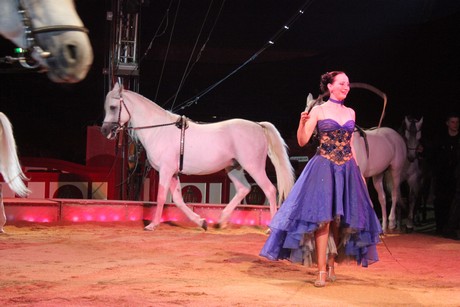 circus-krone