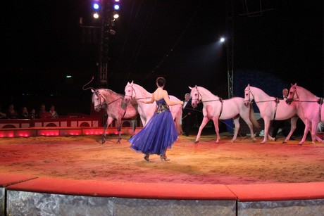 circus-krone