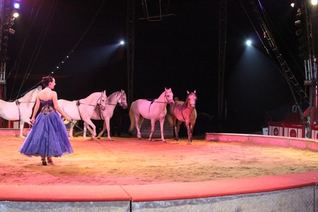 circus-krone
