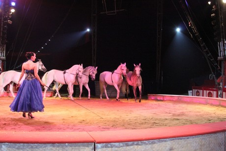 circus-krone
