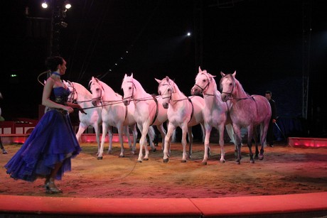 circus-krone