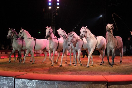 circus-krone