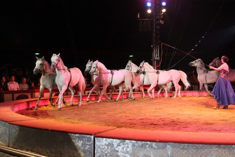 circus-krone