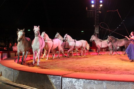 circus-krone