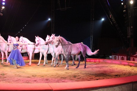 circus-krone
