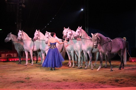 circus-krone