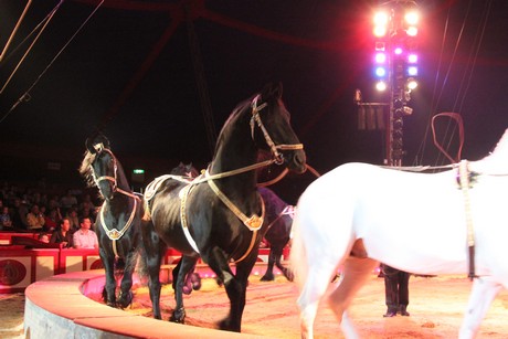 circus-krone