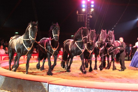 circus-krone