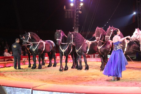 circus-krone
