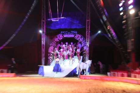 circus-krone