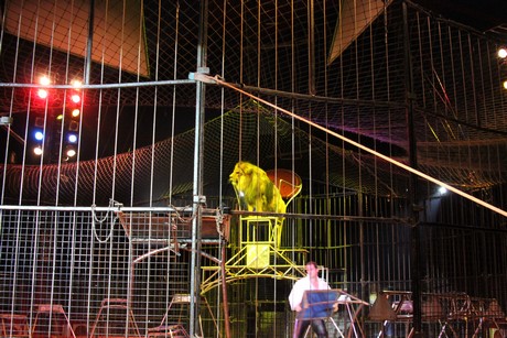 circus-krone