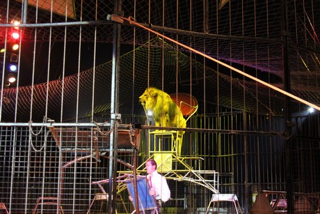 circus-krone