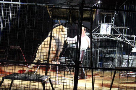circus-krone