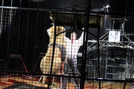 circus-krone