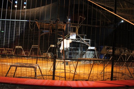 circus-krone