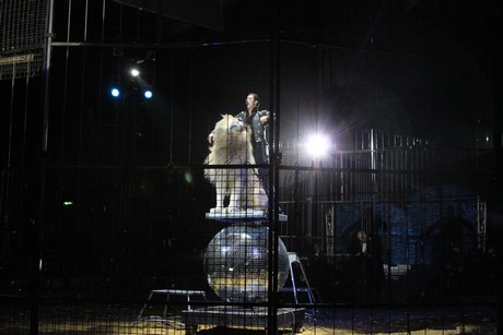 circus-krone