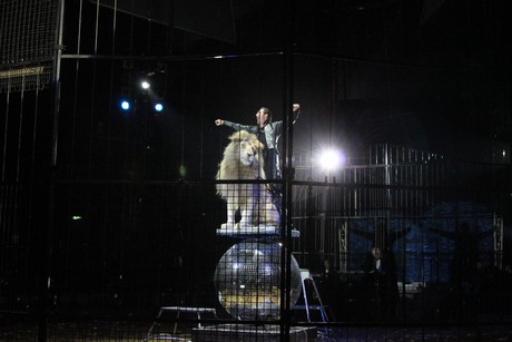 circus-krone