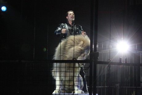 circus-krone