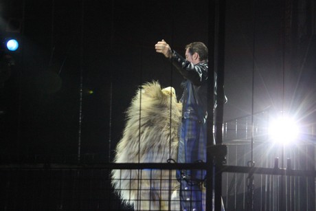circus-krone