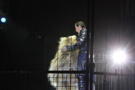 circus-krone