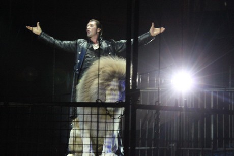 circus-krone