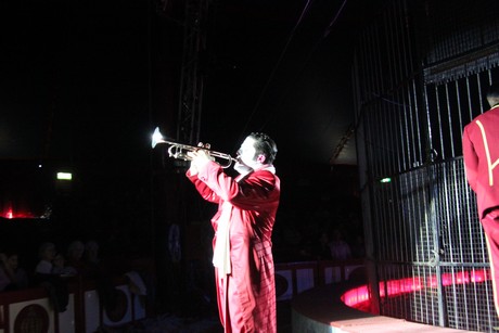 circus-krone